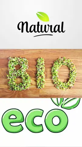 Capítulo 2 de greenwashing 💚🌳 #fyp #viral #greenwashing #bio #eco 