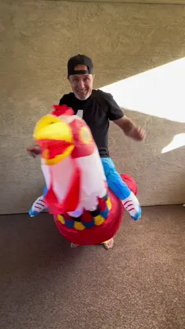Lightup inflatable bird. #halloween #halloweencostume #inflatablecostume #tiktokcreatorpicks 