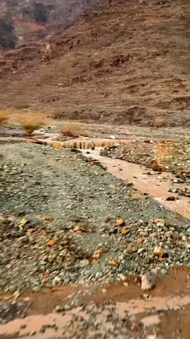 اعتزلت الناس وبشرك طيب