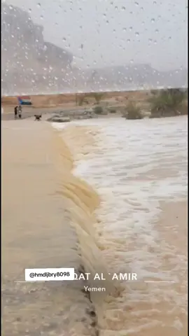 #حضرموت ساه📍✨🤍