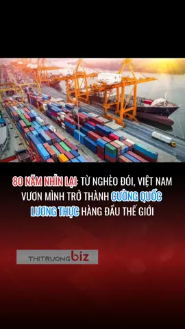 80 năm từ nghèo đói, Việt Nam vươn mình thành cường quốc lương thực hàng đầu thế giới #xuatkhaunongsan  #vietnamxuatkhauluongthuc #xuatkhaunongsan #tuhaovietnam #80namthanhlapnuoc 