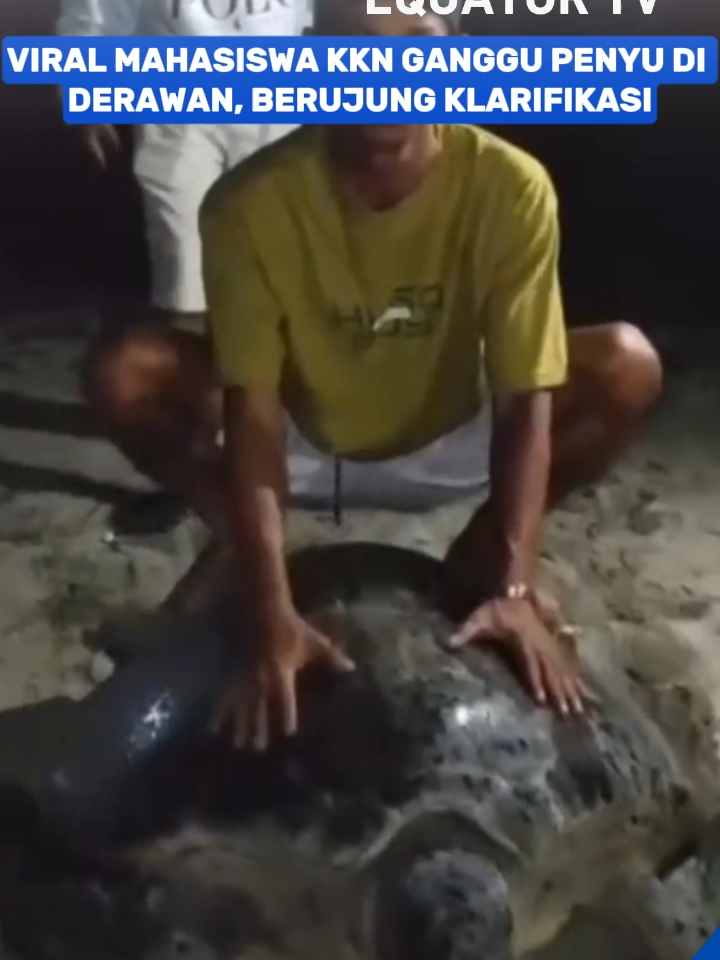 Video sekelompok mahasiswa peserta Kuliah Kerja Nyata di Kepulauan Derawan, Berau, beredar luas pada Selasa, 19 Agustus 2025. Rekaman tersebut menunjukkan mereka mengganggu penyu di habitat alaminya, yang memicu kecaman karena satwa ini dilindungi undang-undang. Aparat keamanan sempat menahan mahasiswa yang terlibat, sebelum akhirnya mereka menyampaikan klarifikasi dan permintaan maaf secara terbuka. Kepulauan Derawan sendiri merupakan kawasan penting konservasi penyu hijau dan penyu sisik, sekaligus pusat keanekaragaman hayati laut Indonesia.(AD)