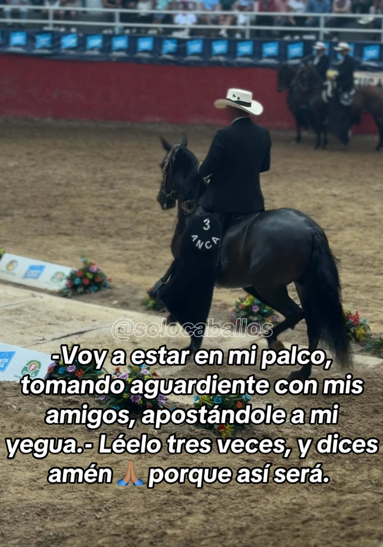 En mi palco escuchando a @Juan Correa #videos #caballos #viral 