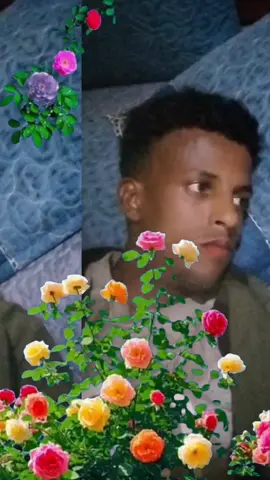 #greenscreen