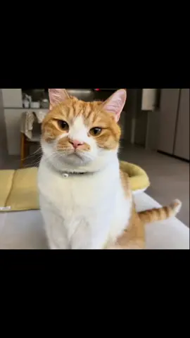 sudhar Jao 🫠🥲🙂🫢🫢🫣#unfrezzmyaccount #viralaccount #foryou_tiktok_viral_video_tiktok_foryoupage_100k_views #tiktokviral #tiktokviral 