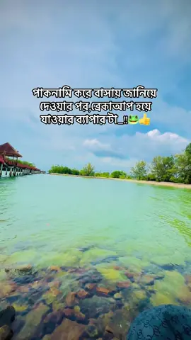 সবি বালপাকনামির ফল 🐸👍#tiktokforyou #tiktokmalaysia🇲🇾 #tiktok?bangladeshforyou🇧🇩 #বি_বাড়ীয়া_কিং 