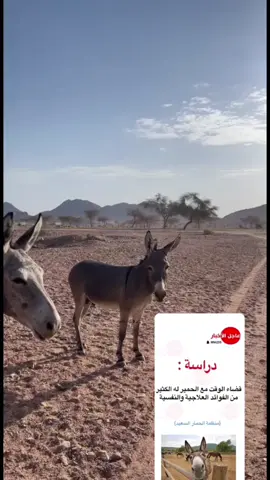 رحنا الديره عشان نقابل حمار القايله😂#fyp #الشعب_الصيني_ماله_حل😂😂 