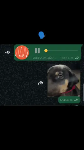 #apoyo #fypシ #paratiiiiiiiiiiiiiiiiiiiiiiiiiiiiiii #viraltiktok #aaudioswhatsapp 