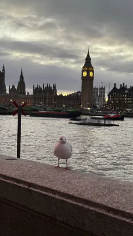 ✨🦢 #explore #fyp #london 