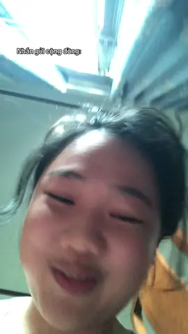 Không nỡ đập con heo