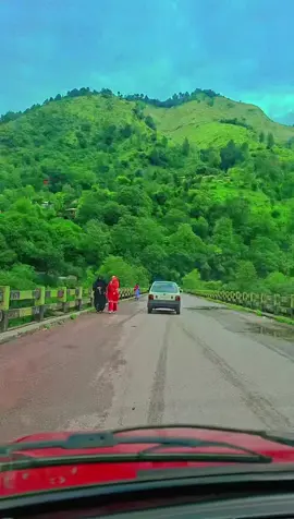 kahori bull 😍🥰#viral #tranding #viralvdio #foryoupage #video 