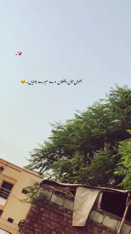 بھراں تاں پھُلاں دے سہرے ہوندیں۔🥺❤️‍🩹🦋 #foryou #foryourpage #1millionaudition #unfreezemyaccount #poetry 