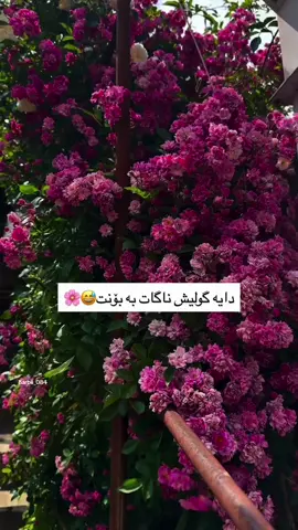 #barbii_084 #actives? #fyppp #foryou #fypシ 