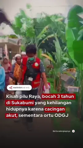 Kisah pilu Raya, bocah 3 tahun di Sukabumi yang kehilangan hidupnya karena cacingan akut, sementara ortu ODGJ #kisahraya #rayasukabumi #sukabumi #penyaktcacingan #fyp