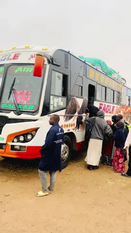 @EAGLE AIR BUS 🚌 @Hassan Muhumed @Rashka  Daudi. 🇬🇲 @Ibrahim dhajka 🇬🇲 @💡ZAKI ➰ ANO 💡✪ @dagahley production 📸 @𝐈𝐒𝐌𝐀𝐂𝐈𝐋🦅 @Adamawa@ @sidis 111 @LeBurn 