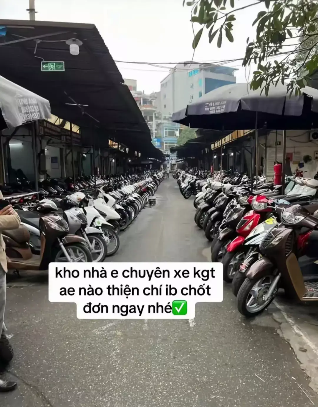 ae mua xe ib tiktok em nhé  #xemay #xemay #xuhuong #fyp #viral 