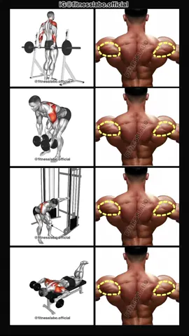 ✅ Exercises for Rear Delt  ① Barbell Rear Raise  ② Reverse Fly ③ Cable One Arm Reverse Fly ④ Laying Shoulder  3 sets 15 reps  #Fitness #gym #exercise  #workout #workoutroutine         