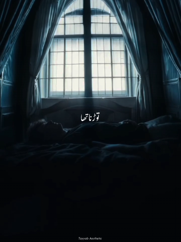 Tum Se Dil Jo Lagaya 🥺❤️‍🩹 || Repost Request || #tayyabaesthetic #tumsediljolagaya #rahatfatehalikhan #song #foryoupagе 