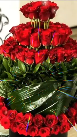 #квіти #длянастрою #🌹🌹🌹