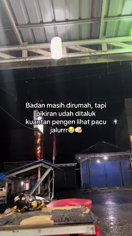Huaaa pengen nengok😭🫵🏻 #pacujalurkuantansingingi #pacujalur #pacujalurstory 