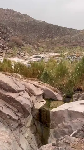 #امطار_نجران_الان 