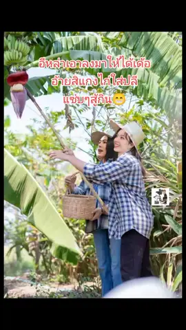 แกงไก่ใส่ปลีอ้ายควองเป็นตาแซ่บคักเนาะ😆🤣🥰👩‍❤️‍👩💜#แอดมินมโน🤭😅 #ด้อมเฮฮา😁 #ครั่งรัก🦖🥀🌈 #หลิงออม #สะใภ้กาฬสินธุ์♥️ 