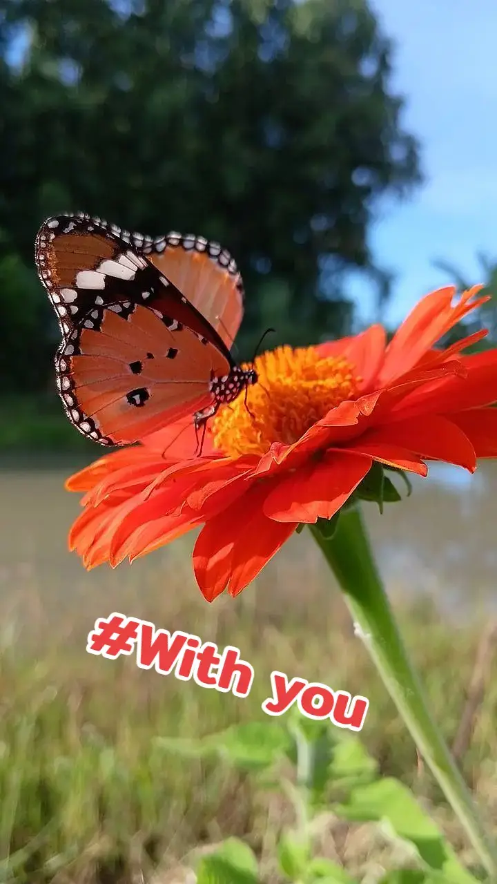 #With you