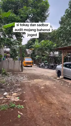 sadbor audit jogeder #sadborbaik #selebsadbor 