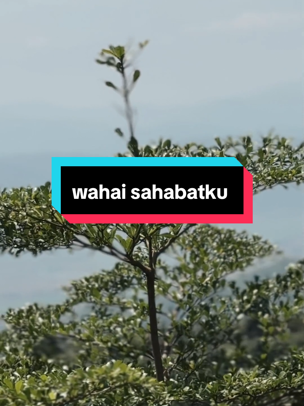 #CapCut  wahai sahabatku #cinematic #ag_capcut #fyp 