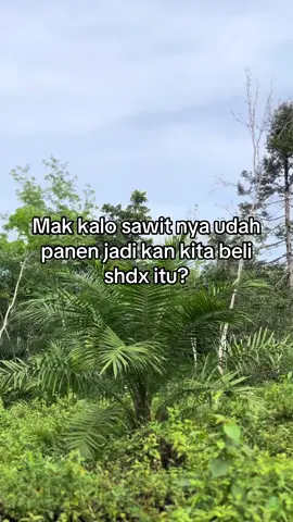 Jadi kan Mak🥹