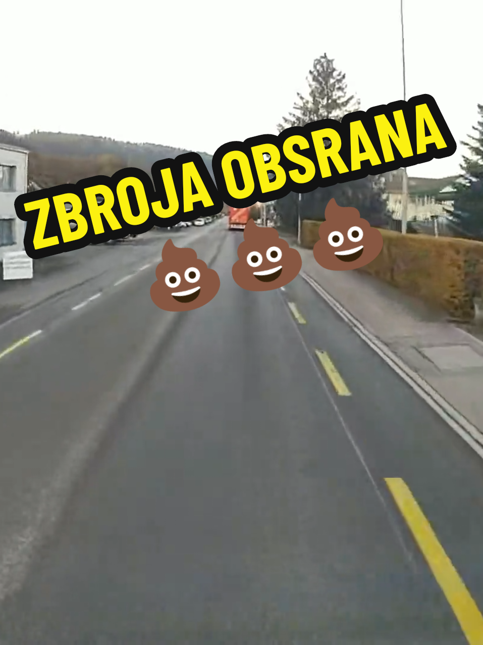 #polishdriver #schweiz #foryou  #trucker #truck 