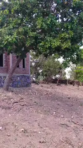 BEBAN NEGARA