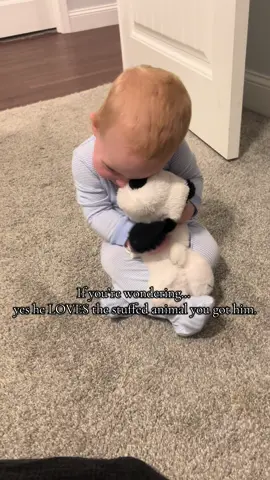 The sweetest little boy. He just loves his stuffies🫶🏼 #toddler #boymom #miracle #rainbowbaby 