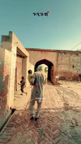 Punjab ❤️‍🩹🇵🇰#foryoupage #fypシ゚viral #viralvideo #foryou #pakistanzindabad 
