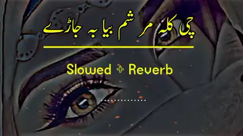 #pashtosong #fullsong #please #videoviral #vivacutapp 