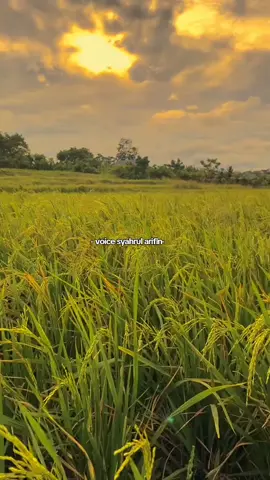 #syahrularifin #motivasibanjar #banjarpride #qoutesbanjar #fyp #foryou #foryoupage #trending #viral #followme #tiktok 