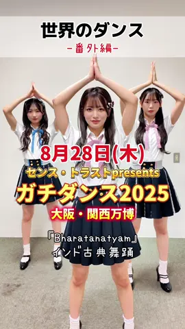 NMB48が企画を0から考える、『SENSE TRUST presents GACHI DANCE 2025 in大阪・関西万博』 日程:8月28日（木） 詳しくは【ガチダンス】で検索してね！ #ガチダンス #大阪関西万博  #ダンス #NMB48 #センス・トラスト株式会社  @坂田心咲 sakata misaki  @塩月希依音  @泉綾乃
