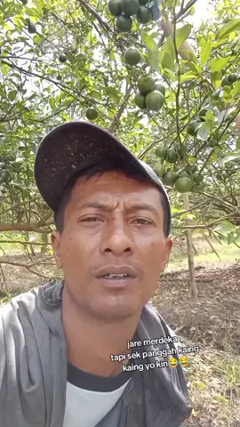 merdeka bagi mereka  kaing kaing bagi kita yo kin😂😂 #hiburan #komedi #kocak #sugiono7327 #ayahkaing2 