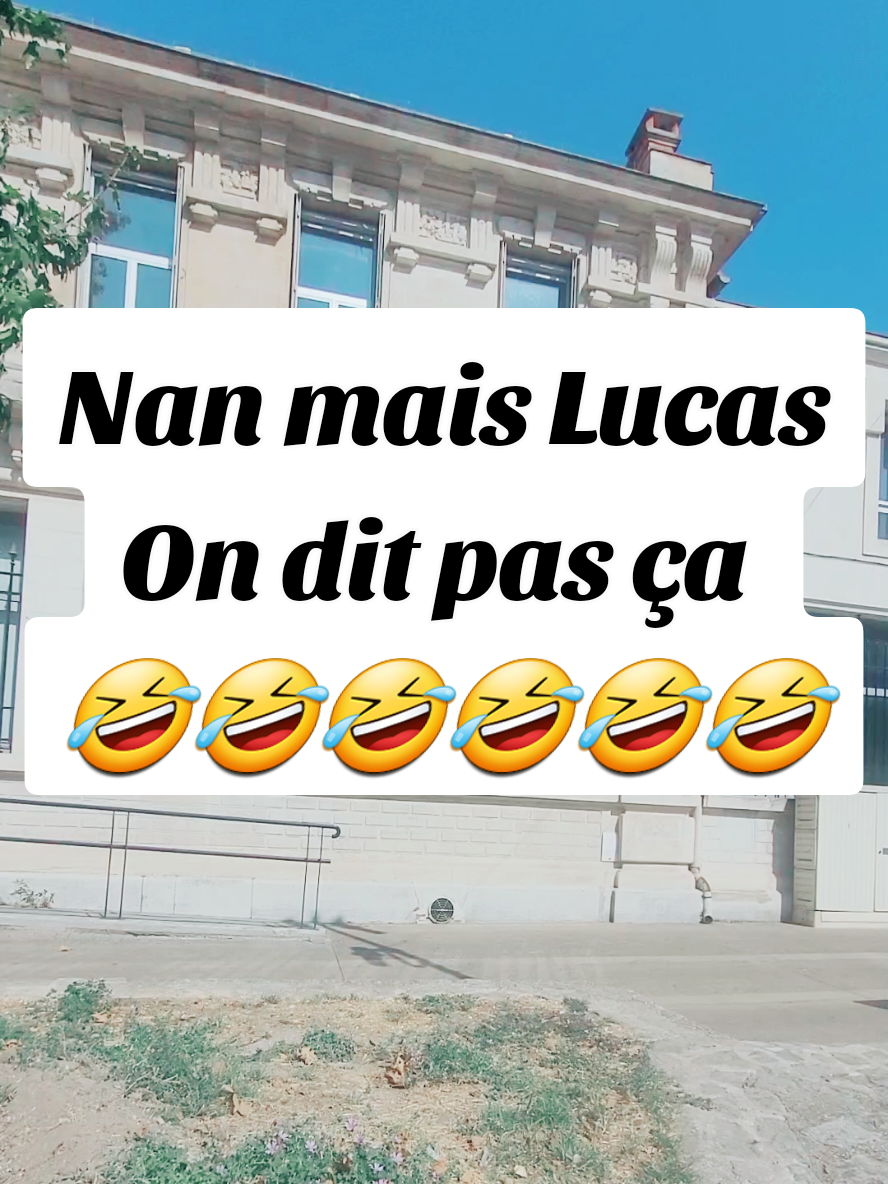 Lucas connaît le féminin de chiot 🤣😂🤣🤣 #humour #lucas #drôle #foryou #pourtoi 
