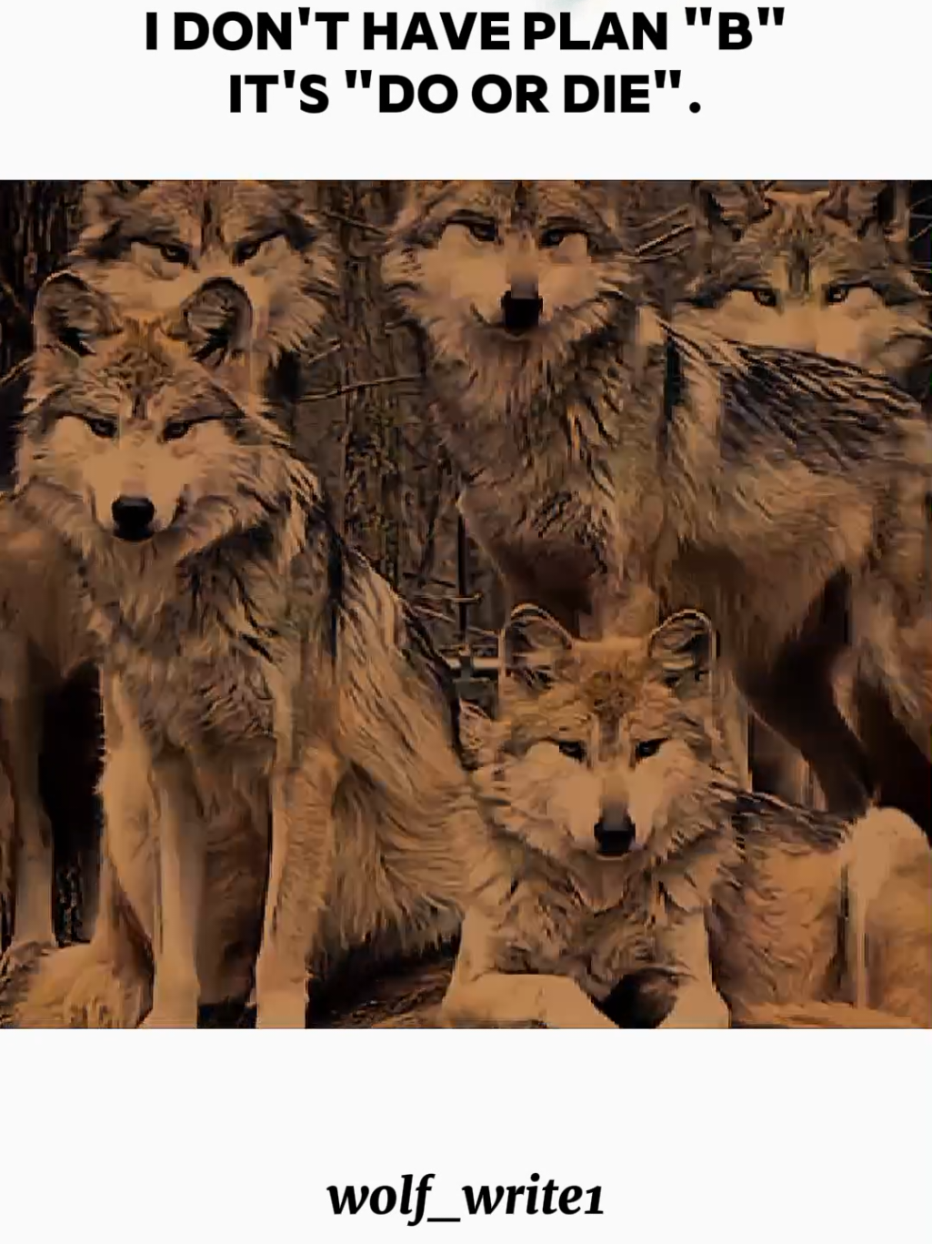 #viralvideo #forupage #foruyou #wolfwrite1 #1millionaudition 