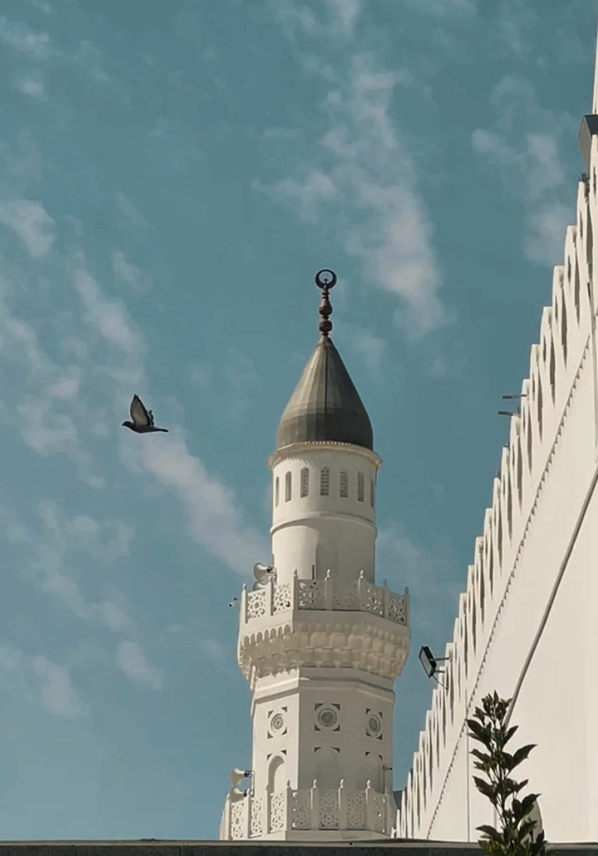 رحلة الحب 🤍  . . #المدينة_المنورة  #المدينة  #madina #explore  #الحرم_المدني 