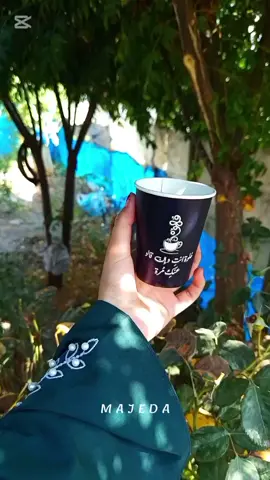فِي زَوَايَا البَسَاطَةِ، تَنْبُتُ أَزْهَى مَعَانِي الرَّاحَةِ 💚 #صباح_الخير #قهوتي #لايك_متابعه_اكسبلور #تصويري📷 #رواقي_جوي_تصويري_تصميمي👌🏻🌸 