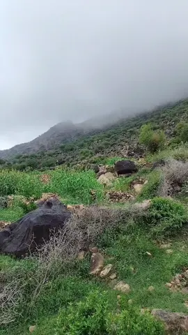 أجواء ومناظر جميله 