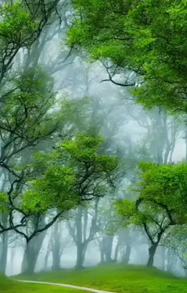 ؟ القرآن الكريم اذكار ـاـاــ،  منا جاة المريدين هي مناجات للإمام زين العابدين )ع( لي ولوالدي صدقه جاريه 