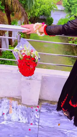 #fypシ゚viral🖤tiktok #foryou #fypシ #growmyaccount #tiktokviral 