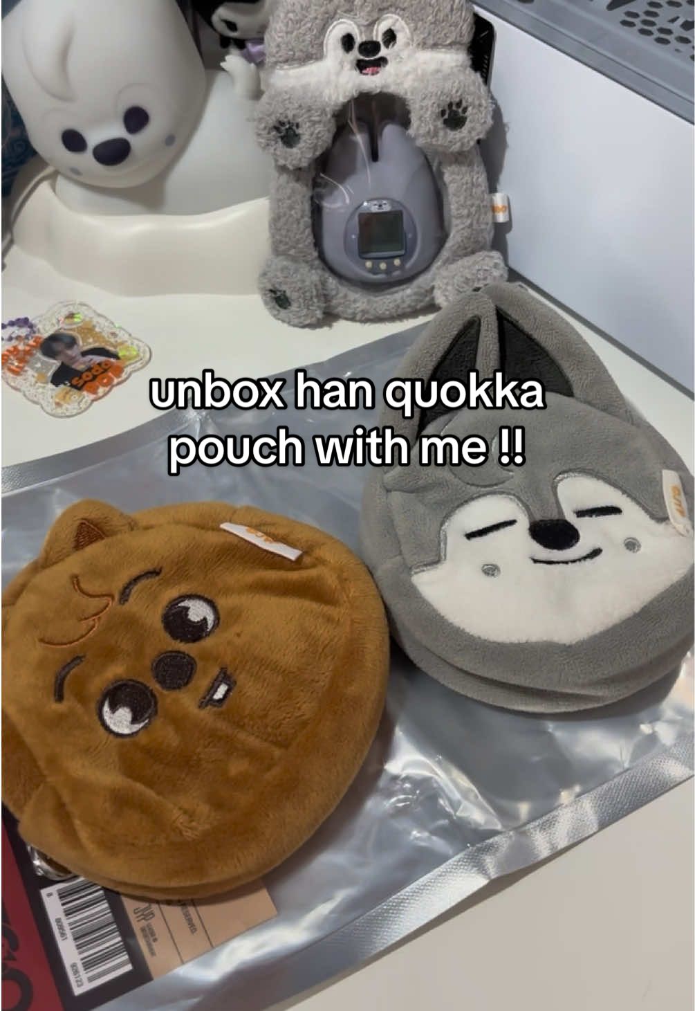 han quokka pouch is finally home 🥹 . . #skzoo #스키즈 #skz #straykids #スキズ 