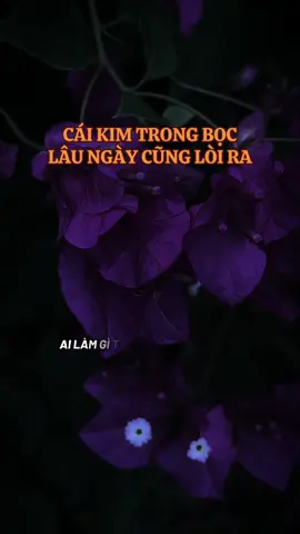🪷🍀Cái kim trong bọc lâu ngày cũng lòi ra#ngộđểan #phatphapnhiemmau #cliptrieuwiew #caunoihay #fyp 