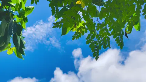 আমার পোড়া কপালে আর আমার সন্ধ্যা সকালে #viral #fyp #foryoupage #natural 