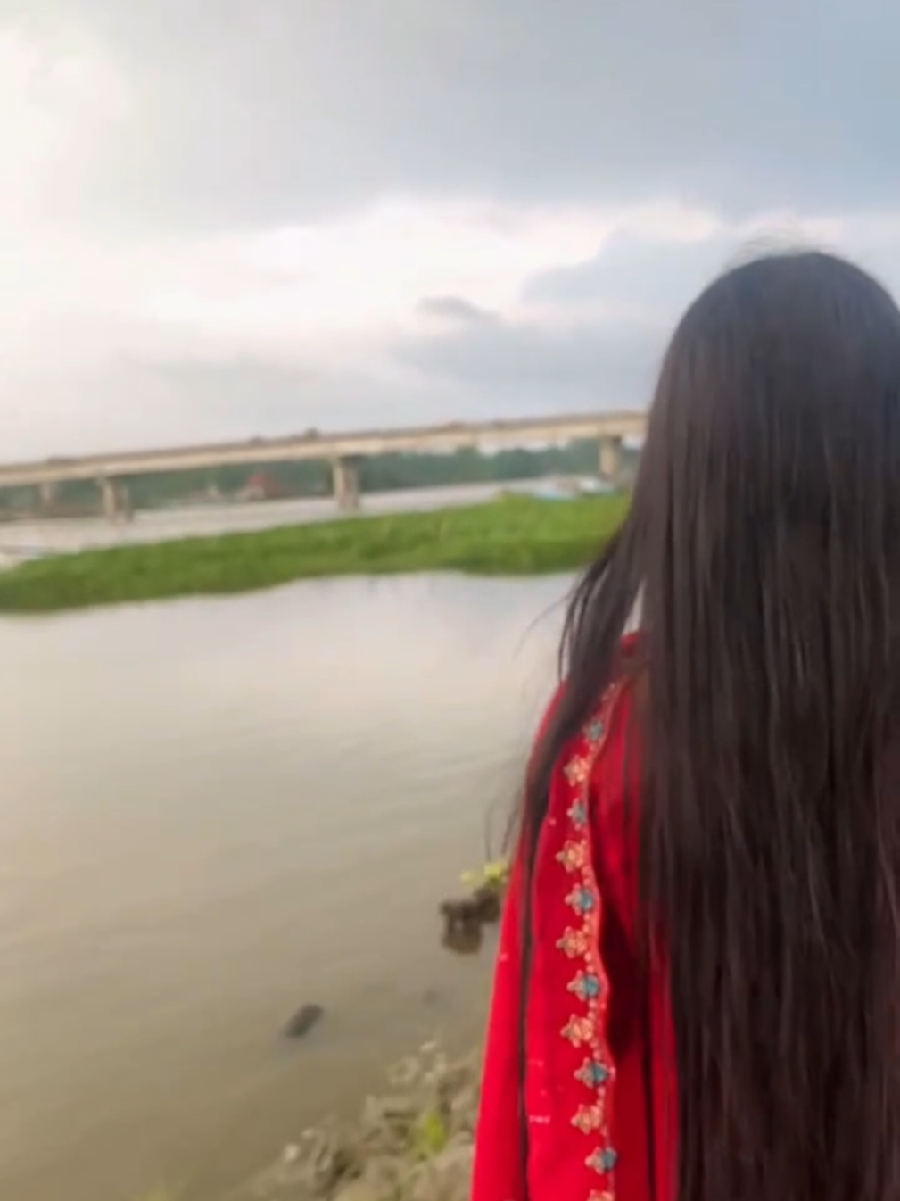 Hale Dil Mera ❤️#trendingvideo #trendingviralvideo🌹♥️❣️💞💞💞 #fypシ゚ #Foryou #creatorsearchinsights 