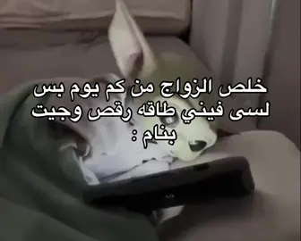 #صاحي #شعب_الصيني_ماله_حل😂😂😂 #fy #explore #fvpシ 